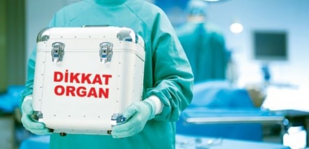 Organ bağışçı sayısı 2 yılda 40 kat arttı