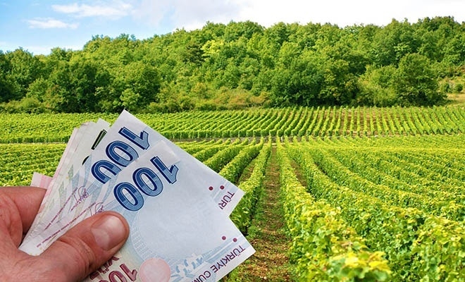 Çiftçilere destek ödemesi bugün başlıyor