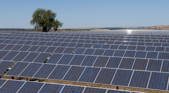 Türkiye güneşe dönüş seferberliği ilan etmelidir